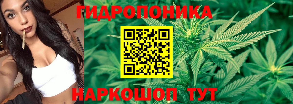 Каннабис конопля  Марихуана семена  Вход с VPN  Батайск 